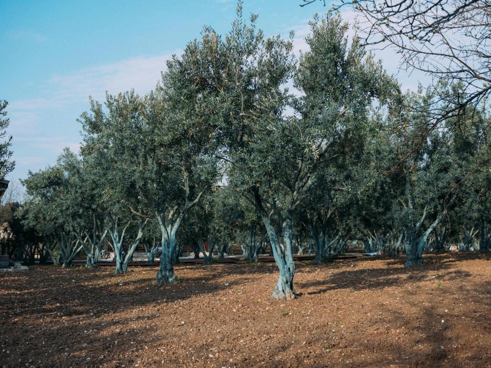 Od Urla Misafirhane Экстерьер фото
